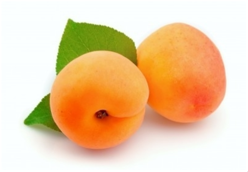Apricot