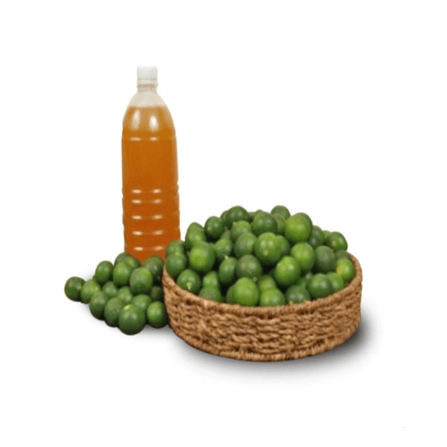 Calamansi