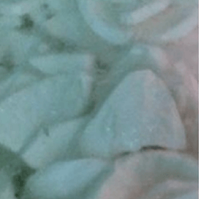 Coconut Chunks